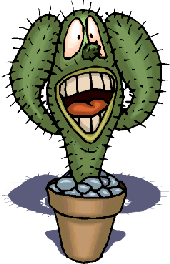 Des centaines de cactus !