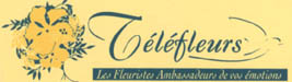 Pour offrir des fleurs par internet !
